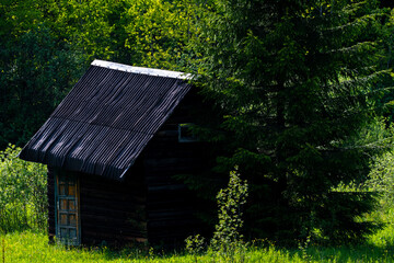 Fototapeta na wymiar admiring the wooden cottage on the mountain