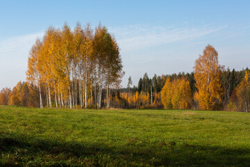 Autumn in Karula national park