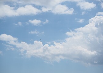 pájaro volando en el cielo azul con nubes blancas