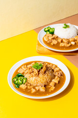 Chicken in brown sauce or gravy sauce with rice