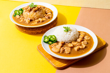 Chicken in brown sauce or gravy sauce with rice