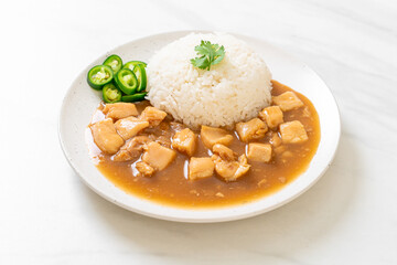 Chicken in brown sauce or gravy sauce with rice