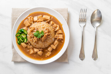 Chicken in brown sauce or gravy sauce with rice
