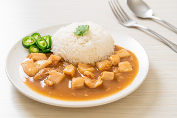 Chicken in brown sauce or gravy sauce with rice