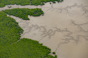 Mudflats in Port Curtis, Gladstone Region, Queensland