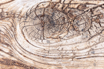 Texture surface of an old wooden board with a place from a branch, similar to a flying meteorite