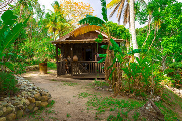 Obraz premium tropical garden with palm trees