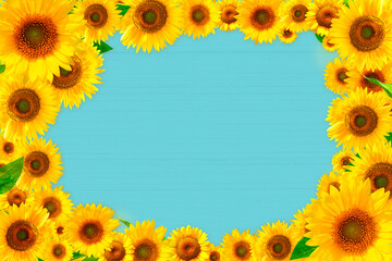 Sunflower frame and blue board_2781