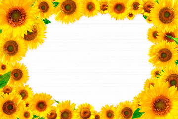 Sunflower frame and white board_2781