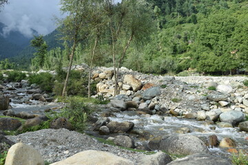 stream in the mountains