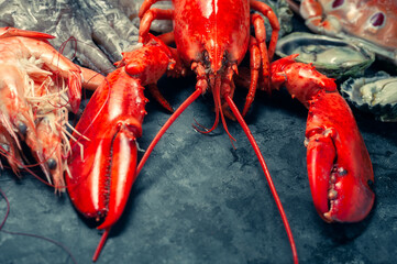 Shellfish and crustacean seafood with selection of fresh lobster, shrimp, fish, oyster, squid and crab on dark rustic background.