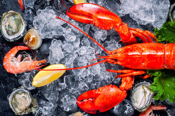 Shellfish and crustacean seafood with selection of fresh lobster, shrimp, fish, oyster, squid and crab on dark rustic background.