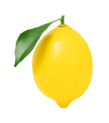 Lemon fruit with green leaf