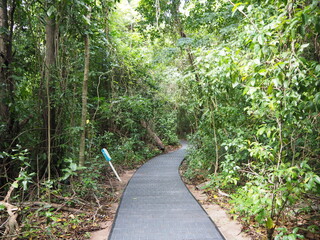 Green Island(Queensland Australia)