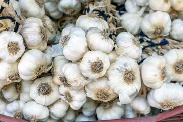 Background of the string of the dry garlics. Garlic is a fundamental component in many or most dishes of various regions, including eastern Asia, South Asia, Southeast Asia and the Middle East.