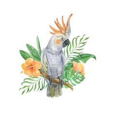 Watercolor tropical  parrot isolated with orange hibiscus flowers, leaves. Bright jungle exotic bird collage composition perfect for summer wedding invitation and card making