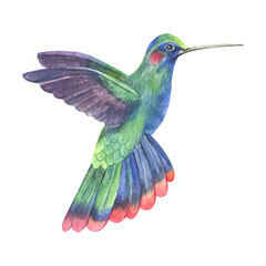 Aquarel handgeschilderde kleurrijke tropische vogels. Heldere jungle exotische illustraties perfect voor zomer bruiloft uitnodiging en feestkaart maken
