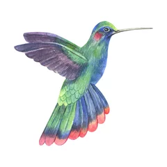 Stickers pour porte Colibri Oiseaux tropicaux colorés peints à la main à l& 39 aquarelle. Clipart exotique de jungle lumineuse parfait pour l& 39 invitation de mariage d& 39 été et la fabrication de cartes de fête