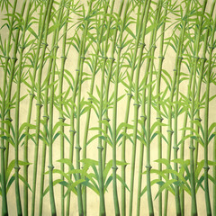 Bamboo Branches Background Ready for design.