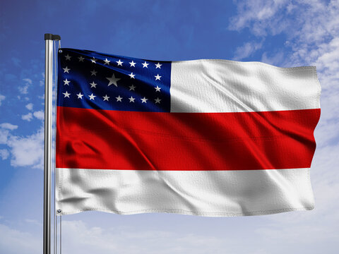 Amazonas flag. One of the states of Brazil.