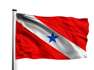 Para flag. One of the states of Brazil. White background.