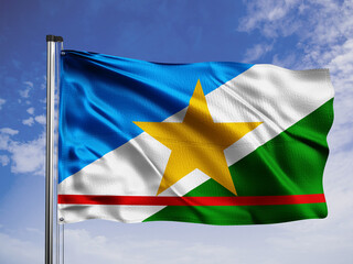 Roraima flag. One of the states of Brazil.