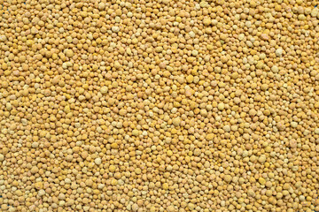 Top view of Chemical plant fertilizer.