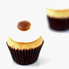 chocolate muffin on white background