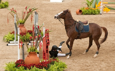Rider falling down from a  jumping horse that suddenly stooped 