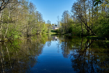 reflection in the water