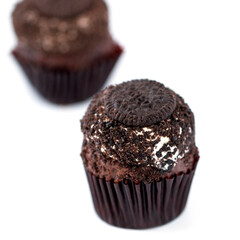 chocolate muffin isolated on white