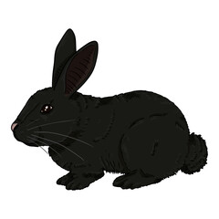 Vector Cartoon Black Rabbit