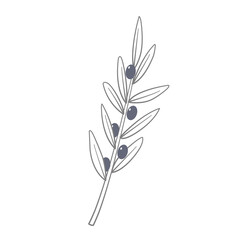 Monochrome olive branch vector. Symbol of Greece. Eco food. Greek cuisine