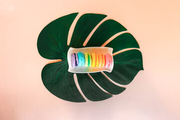 Top view minimalistic composition consisting of a white rectangle plate, a tropical monstera plant...