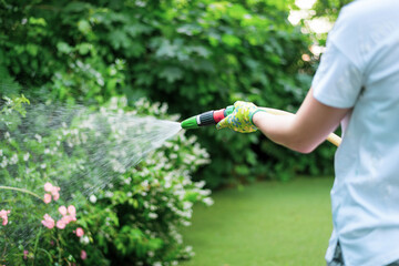 Working watering garden from hose. Hand garden hose with water spray, watering flowers, close-up, water splashes, landscape design