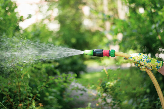 Working watering garden from hose. Hand garden hose with water spray, watering flowers, close-up, water splashes, landscape design