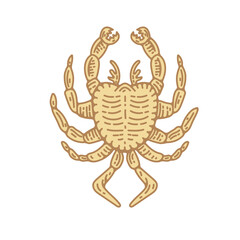 crab engraving vector illustration in vintage engraving hand drawn style . isolated clip art for graphic design logo and branding