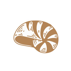 seashell vintage vector illustration designs. isolated clip art elements, great for logo design and branding. marine ,sea travel, ocean and underwater themes. mermaid graphic design, small tattoo