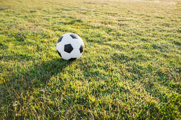 View of classic leather soccer ball on green grass field in the arena stadium.Traditional black and white football equipment to play competitive game.Sports championship tournament concept. 