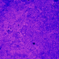 purple abstract texture, violet painted uneven wall