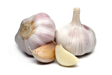 Obraz premium garlic on white background