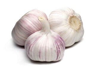 Obraz premium garlic on white background
