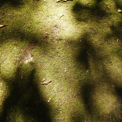 green background with gold