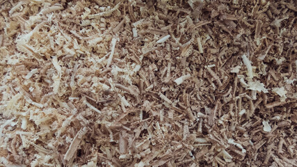 creative idea for background. wood shavings, sawdust in a carpentry workshop