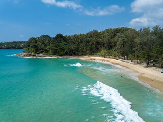tropical beach top with palm trees