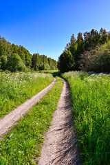 gravel road through fields a sunny summer morning