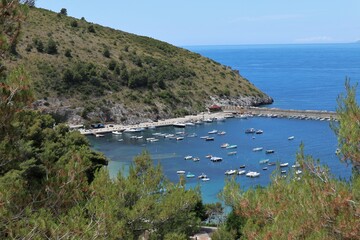 Palinuro – Panorama del porto dal sentiero della pineta