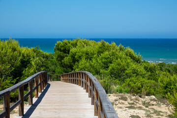 Broadwalk to a sand beach, trees, ocean and blue sky