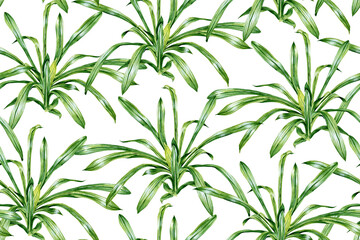 Green grass. Painted in watercolor seamless pattern.