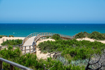 Naklejka premium Broadwalk to a sand beach, trees, ocean and blue sky